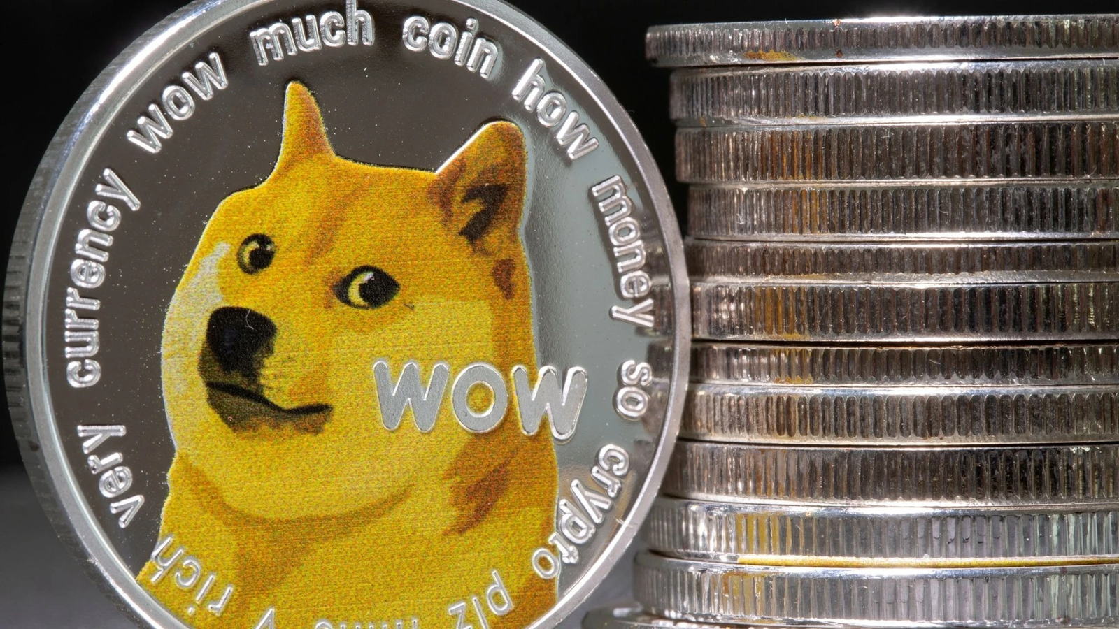 The Face of Dogecoin, Kabosu Passes Away