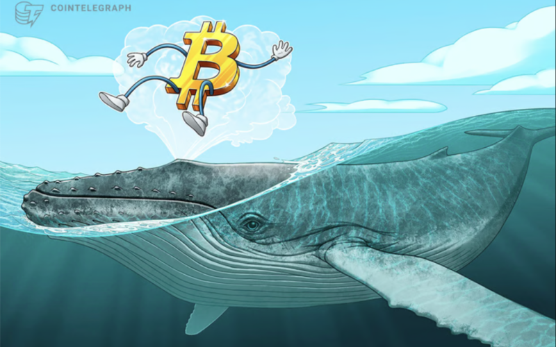 ‘Satoshi-era’ Bitcoin whale wallet awakens