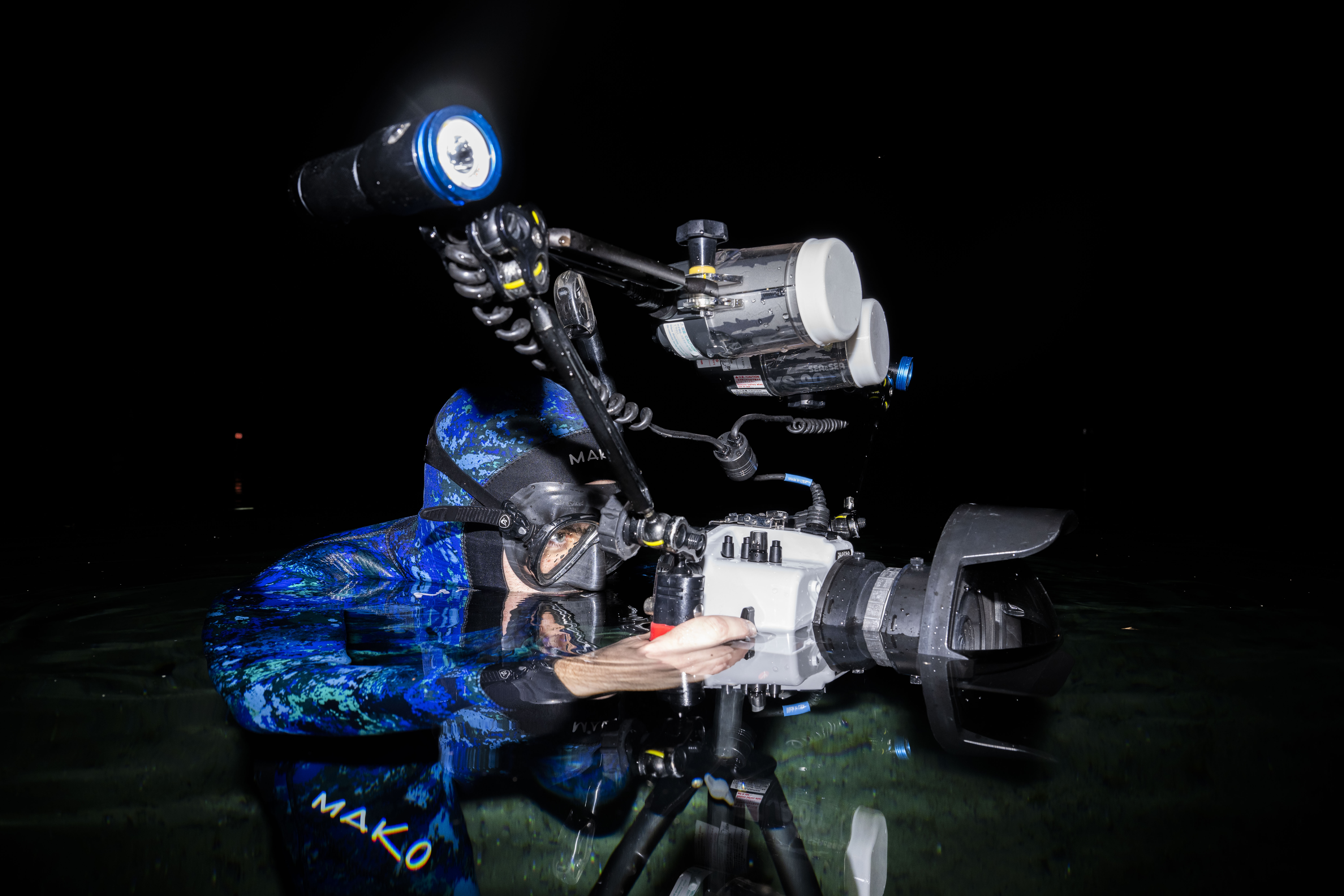 What lies beneath: filming gators in Florida springs
